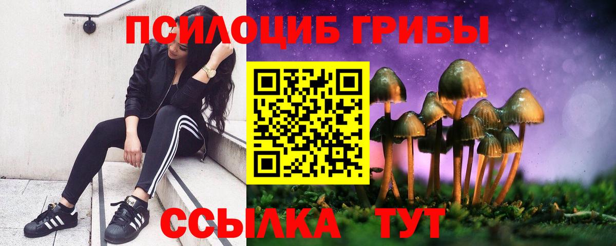 Псилоцибиновые грибы мухоморы Джанкой