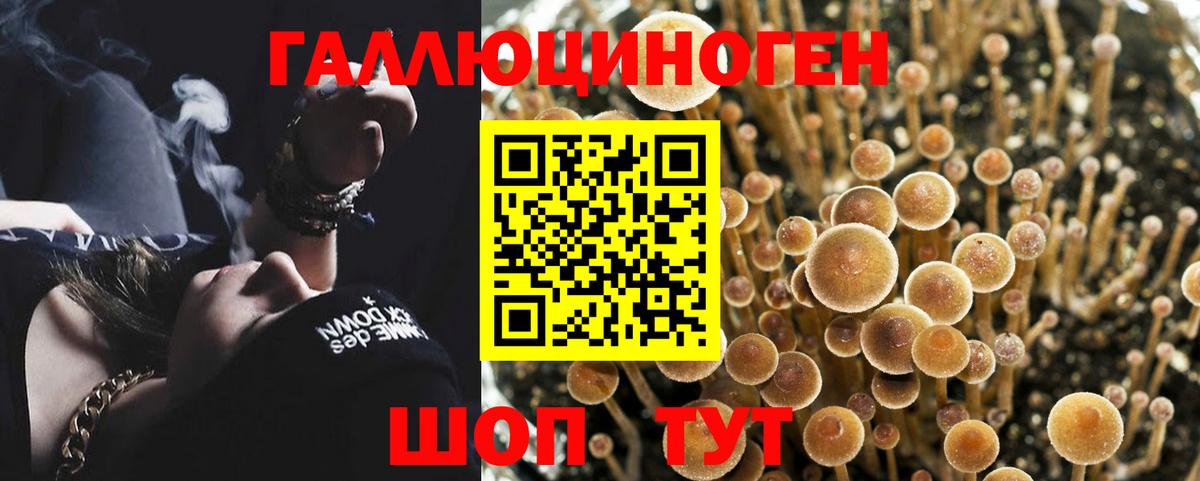 Псилоцибиновые грибы Magic Shrooms  Галлюциногенные грибы прущие грибы  Вход с VPN  Джанкой 